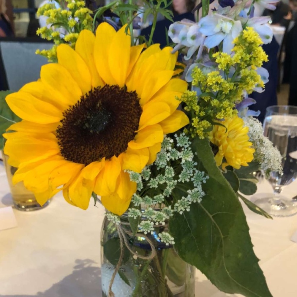 Meet your Posher, Carly